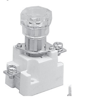 Cầu chì 250V 15A kèm Ruột chì R204, (5SA)